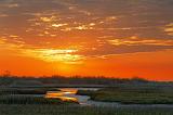 Wetlands Sunrise_36488